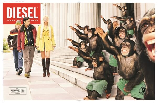 «Успешная жизнь», в которой обезьяны, одетые в шорты от Diesel, голосуют на ступенях парламента