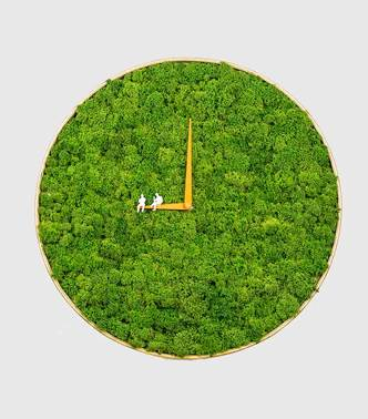 Часы из настоящего мха и березы