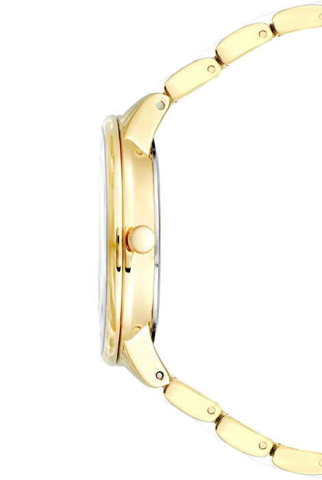 Женские кварцевые часы Anne Klein 3878WTGB коллекции Plastic