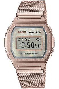 Часы Casio A1000MCG-9E