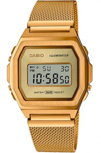 Часы Casio A1000MG-9E