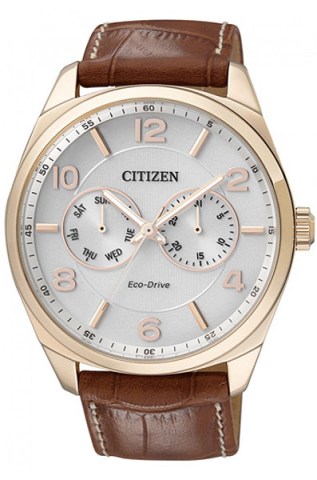 CITIZEN AO9024-16A