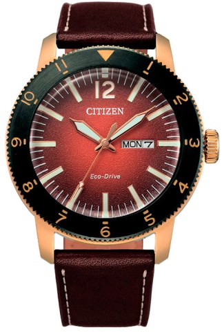 CITIZEN AW0079-13X