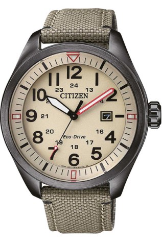 CITIZEN AW5005-12X