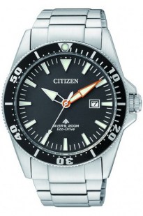 Часы Citizen BN0100-51E