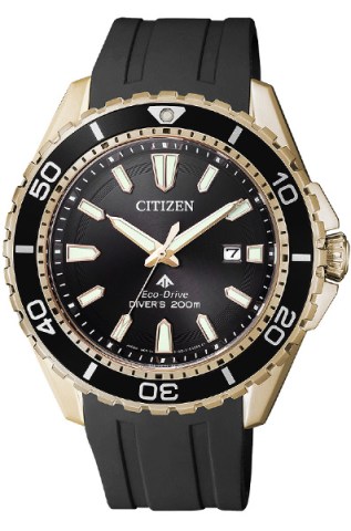 CITIZEN BN0193-17E