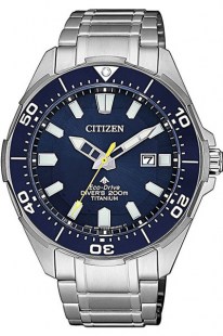 Часы Citizen BN0201-88L