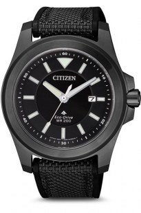 Часы Citizen BN0217-02E
