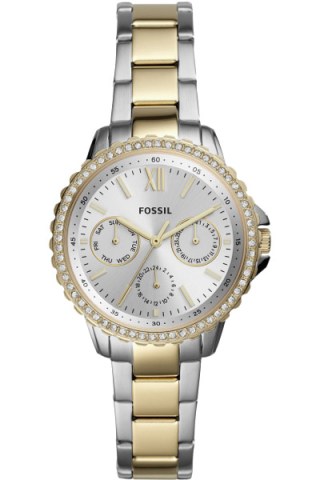 FOSSIL ES4784