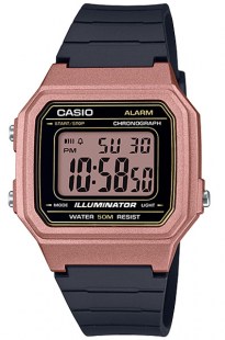 Часы Casio W-217HM-5A